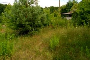 участок по адресу с. Халепье, Лісова, 5