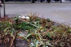 комерційна за адресою Академіка Сахарова вул., 36