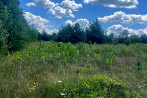ділянка за адресою Лісова