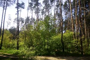 участок по адресу Речная ул., 5