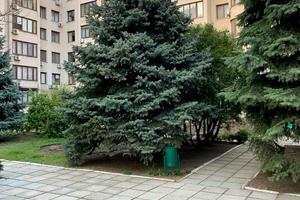 квартира по адресу проспект  Шевченка, 29а