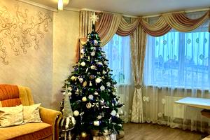дом по адресу с. Шаровечка, Весела вулиця