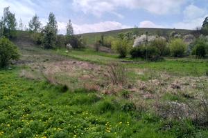 участок по адресу с. Деревянная, Усівська
