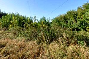 участок по адресу с. Белогородка, Білогородська сільська рада
