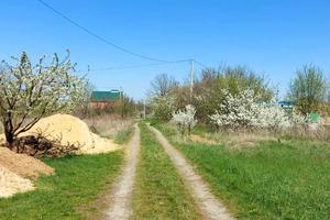 ділянка за адресою Сільська