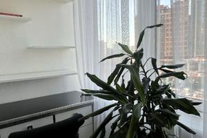 квартира по адресу Генуэзская, 5