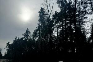 участок по адресу с. Стоянка, Житомирська, 10