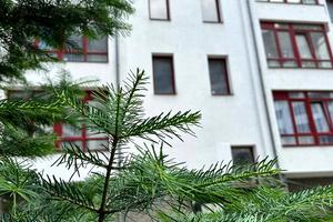 квартира за адресою Галицька вул., 141б