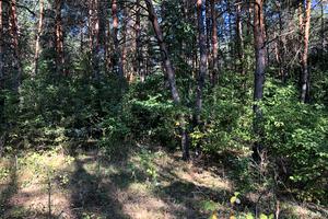 ділянка за адресою провулок Озерний