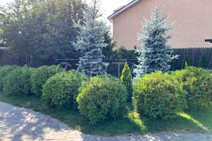 дом по адресу Осокорки