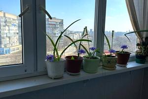 квартира за адресою Реміснича вул., 19