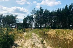 участок по адресу Ирпень, Незалежності