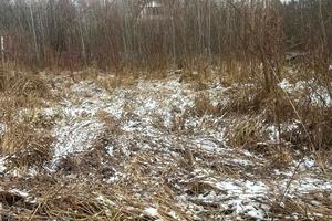 участок по адресу с. Загальцы, 