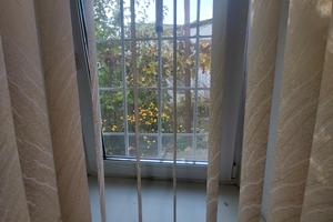 дом по адресу Новосельская ул., 33