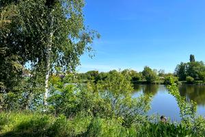 участок по адресу с. Микуличи, 