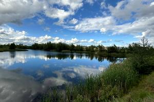 участок по адресу с. Козинцы, 