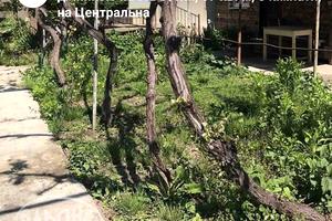 будинок за адресою Центрально