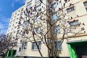 квартира по адресу Зсу, 22