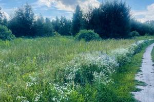 участок по адресу с. Зуровка, 