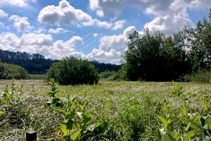 участок по адресу центральна, 1
