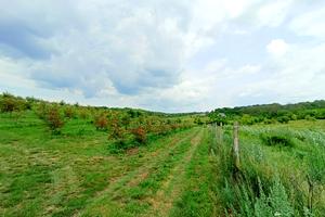 ділянка за адресою с. Антонівці, 