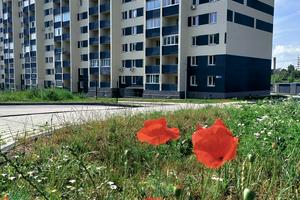 квартира за адресою Перемоги просп., 86-Б