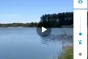 будинок за адресою шевченка