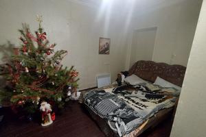 дом по адресу Левитана ул., 74