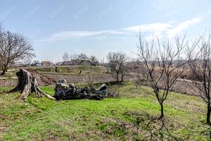дом по адресу Центральна, 1