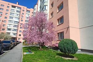 квартира за адресою Бортняка, 4