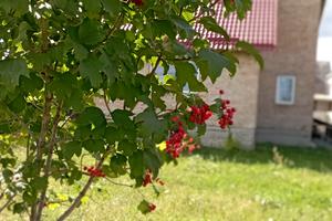 будинок за адресою Центральна, 14