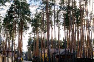 будинок за адресою Буча, Інститутська вул. (Артема)