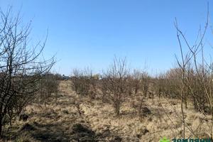 ділянка за адресою Сірка