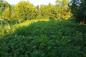 будинок за адресою Старотроїцька вул.