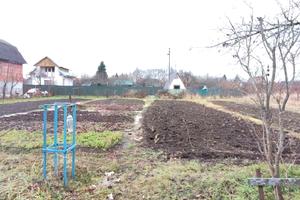 ділянка за адресою СТ Діброва