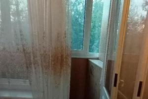 квартира за адресою Проспект перемоги, 76