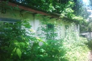 комерційна за адресою Шевченка вул., 43а