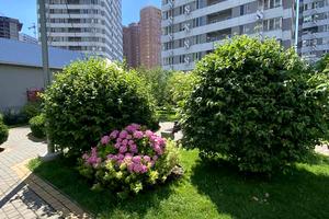 квартира по адресу Люстдорфская дорога ул., 55/1