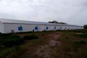 комерційна за адресою с. Лобойківка, Центральна, 1