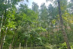 комерційна за адресою Приморська, 3