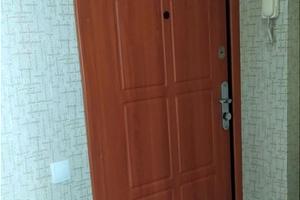 квартира по адресу Юбилейный просп. (50-летия ВЛКСМ), 59