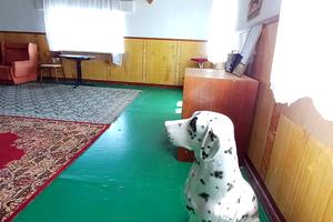 дом по адресу с. Нерубайское, 4 Лінія