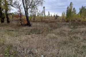 ділянка за адресою Білогородська вул.