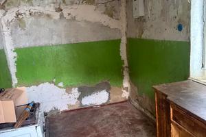 дом по адресу с. Ясное, Ріжкова вул., 45