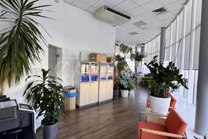 комерційна за адресою бул. Шевченка Тараса, 33Б
