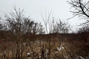 участок по адресу Озёрная ул., 88