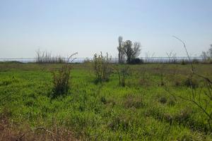 ділянка за адресою Кароліни Сибанської вул., 5