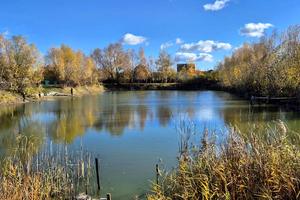 будинок за адресою с. Вільне, дачна