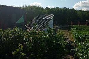 ділянка за адресою с. Шкарівка, Садова