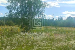 участок по адресу с. Стоянка, Федора Кричевського